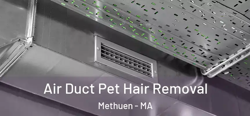  Air Duct Pet Hair Removal Methuen - MA