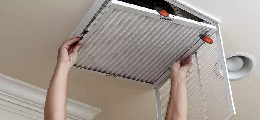 Our Insect Removal from Air Ducts Services in Methuen, MA
