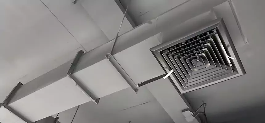 Our Rodent Droppings In Vents Services in Methuen, MA