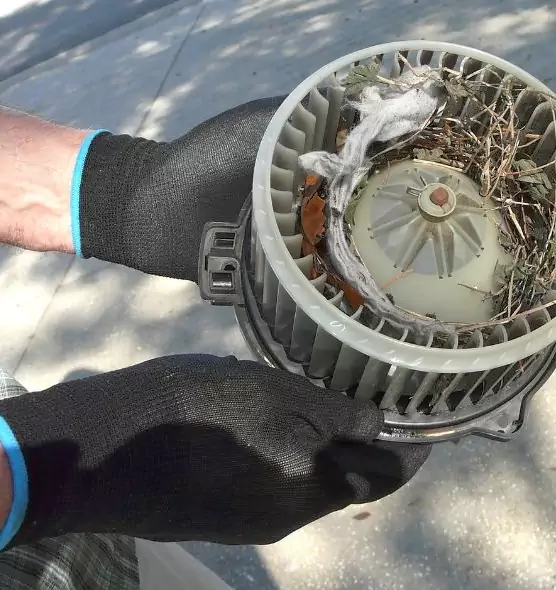 About Air Duct Rat Removal in Methuen, MA