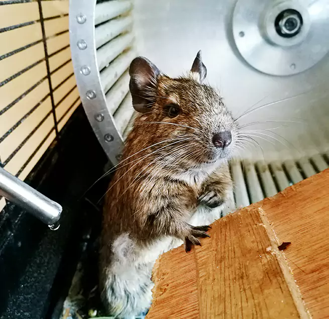 Why Homeowners & Businesses Trust Us Methuen, MA?